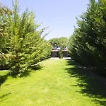 Aegean - *